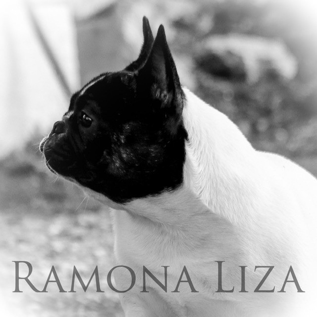 Ramona liza de La Lizonière