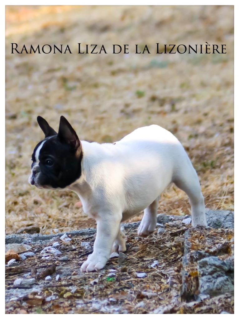 Ramona liza de La Lizonière