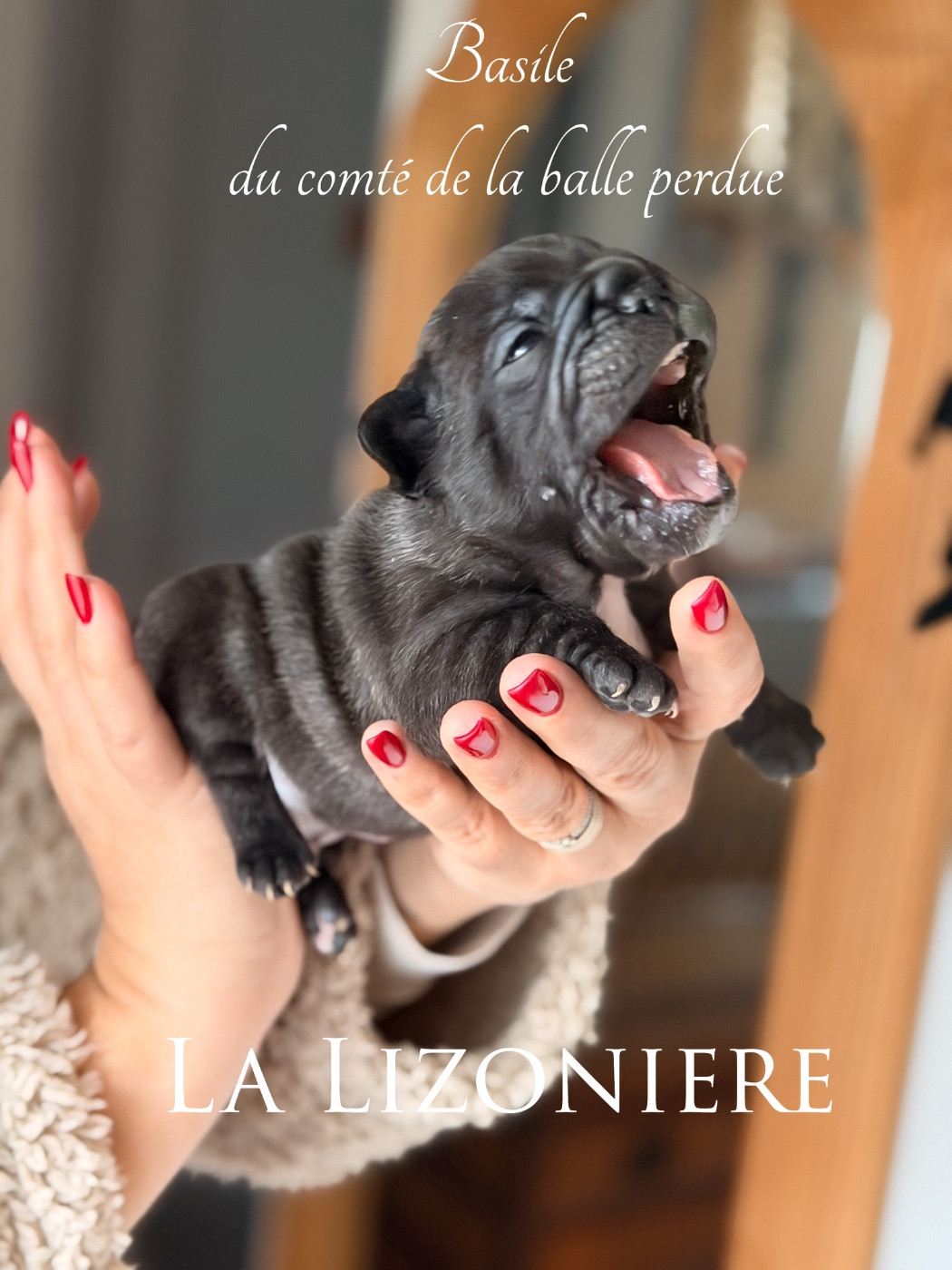 5 magnifiques bébés nés le 14 MARS 2026