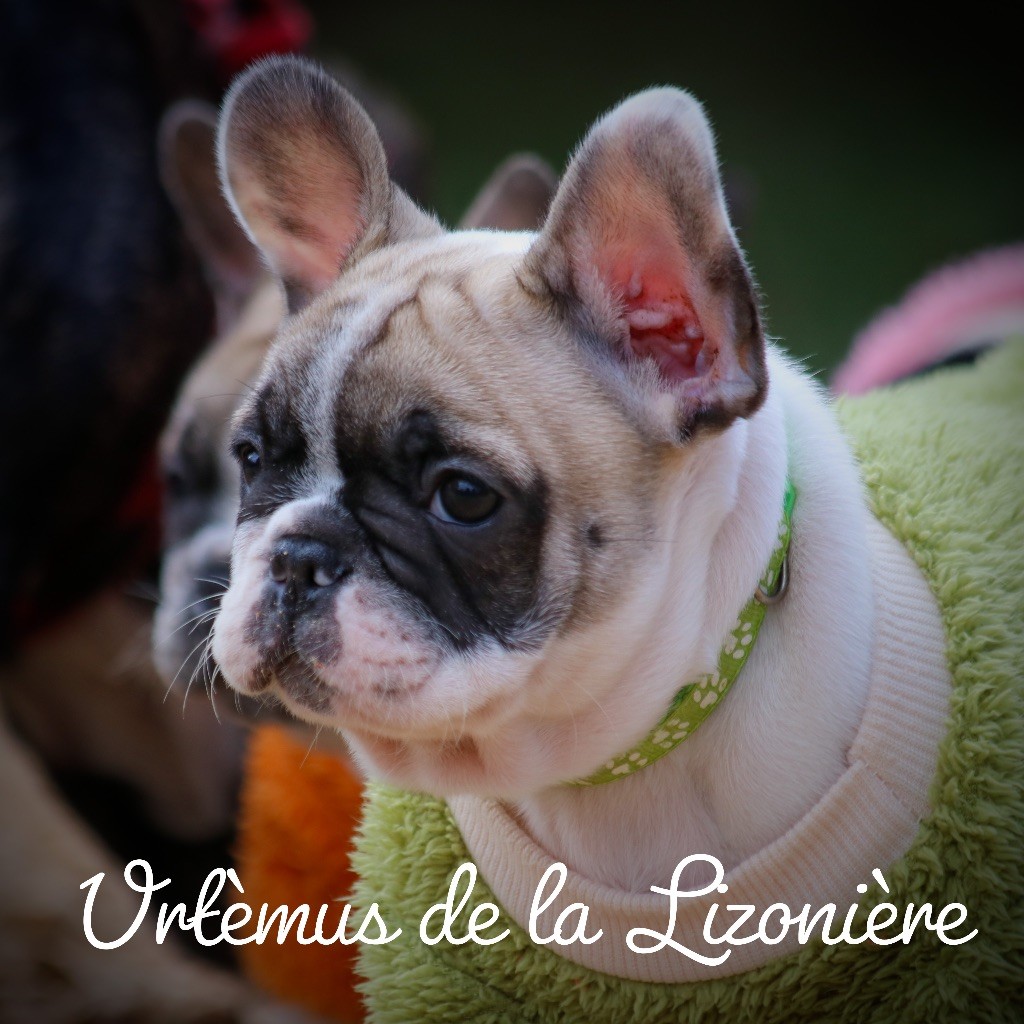 de La Lizonière - URTEMUS ATTEND SA FAMILLE POUR LA VIE