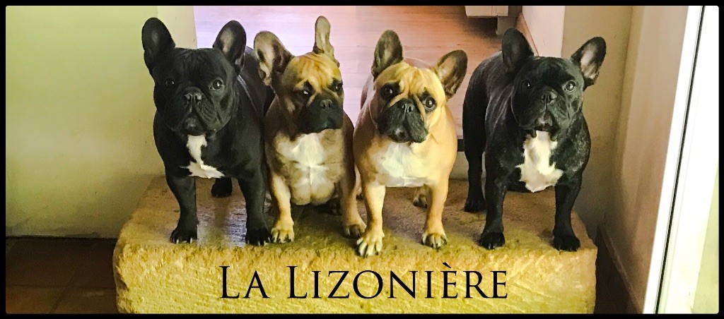 année 2020
